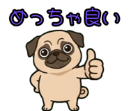 843810888