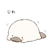 843811187