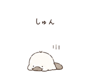 843811188