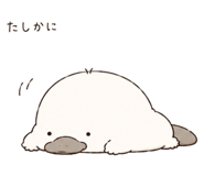 843811195