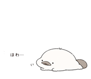 843811196