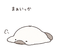 843811201