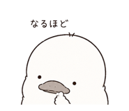 843811204