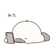 843811206