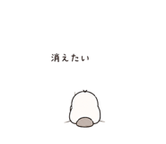 843811208