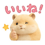 843811263