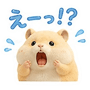 843811269