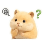 843811285