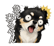 843811439