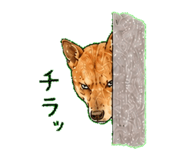 843811652