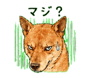 843811662