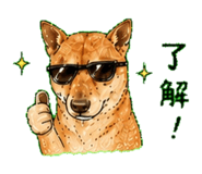 843811665