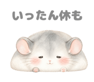 843811698