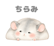 843811700