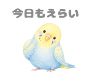 843811708
