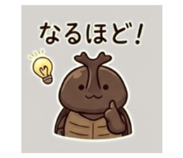 843812053