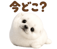 843812226