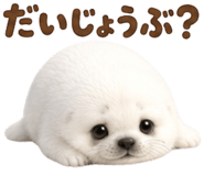 843812227