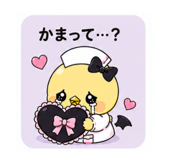 843812716