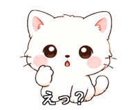 843812909