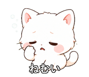 843812913