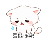 843812921