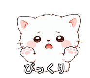 843812923