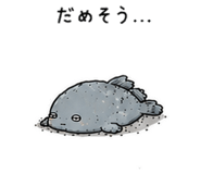 843813814