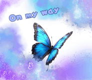 843814004