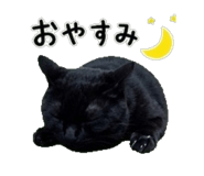 843814177