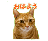 843814241