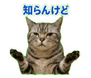 843814257