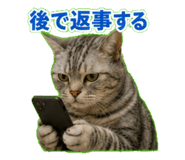843814260