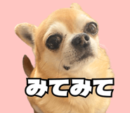 843814932