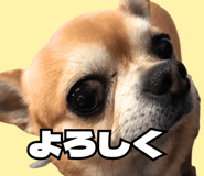 843814934