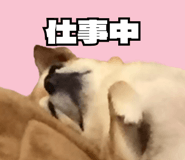 843814937