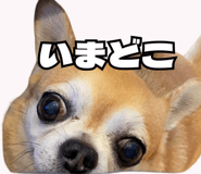 843814938