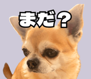 843814943