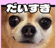 843814946