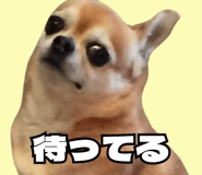 843814949