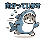 843815008