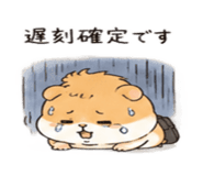 843815426
