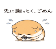 843815427
