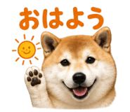 843815697
