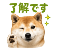 843815699