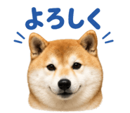 843815701