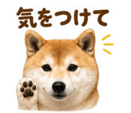 843815702