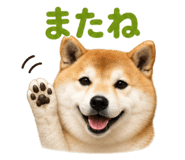 843815703