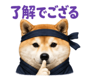 843815704