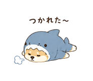843816074
